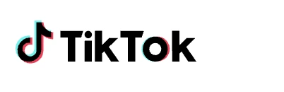 Journal preview showing sales, fees and COGS